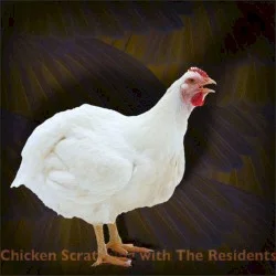 Chicken Scratching With The Residents Chicken Scratching With The Residents