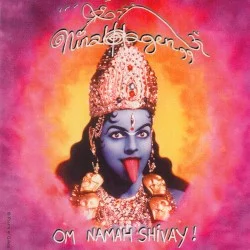 Om Namah Shivay! Om Namah Shivay!