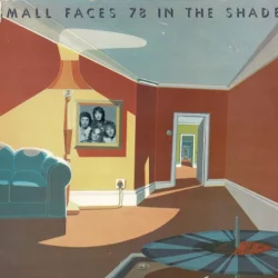 78 in the Shade 78 in the Shade