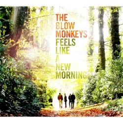 Feels Like a New Morning
