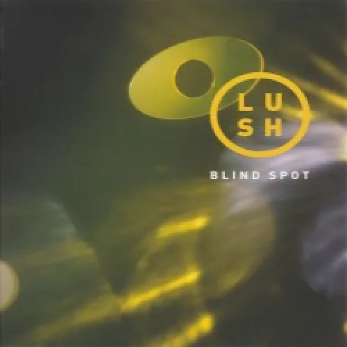 Blind Spot