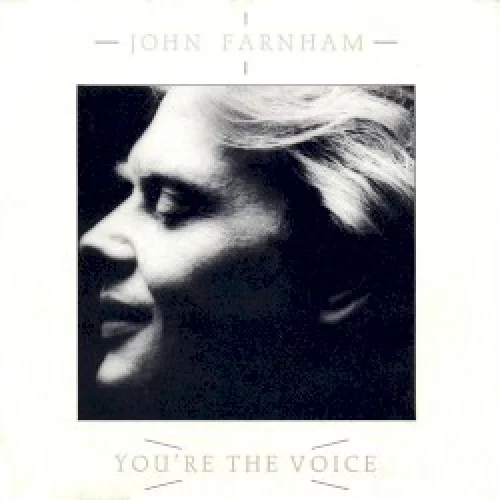 You're the Voice