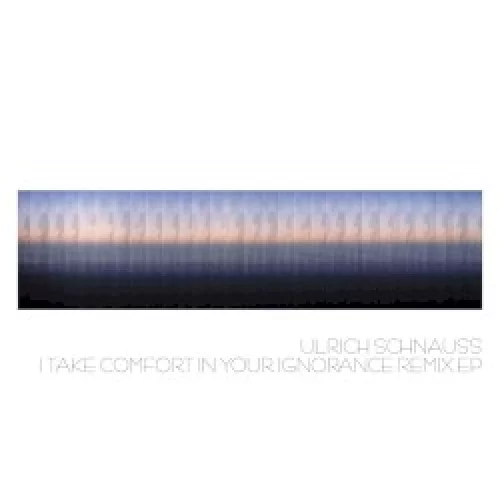 I Take Comfort in Your Ignorance (Remixes)