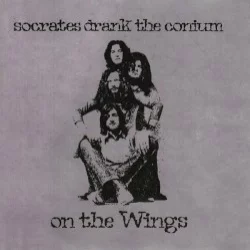 On the Wings