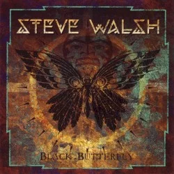 Black Butterfly Black Butterfly