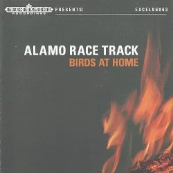 Birds at Home