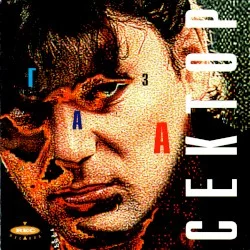 Сектор газа Сектор газа