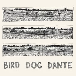 Bird Dog Dante