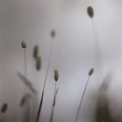 Float