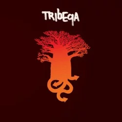Tribeqa