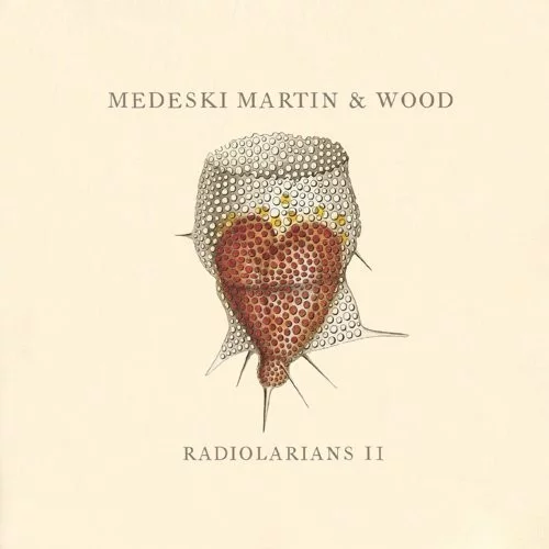 Radiolarians II