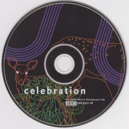 Celebration