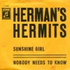 Sunshine Girl / Nobody Needs to Know