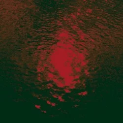 Ultraviolencia (Analog Love. 2016)