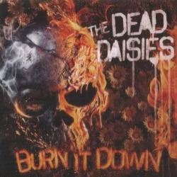 Burn It Down Burn It Down