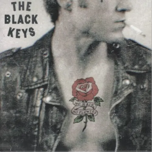 No Rain, No Flowers