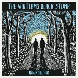 Kookaburra