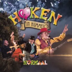Høken in Hummelo