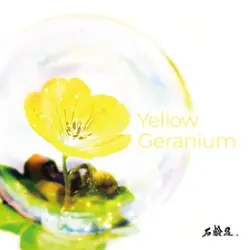 Yellow Geranium