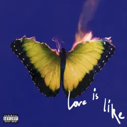Love Is Like