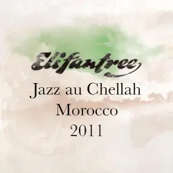 Jazz Au Chellah Morocco 2011