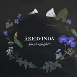 Förgänglighet
