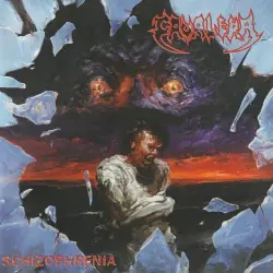 Schizophrenia Schizophrenia