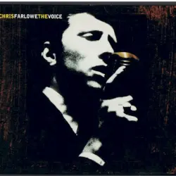 The Voice The Voice