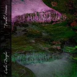 Parallel Streams