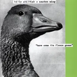 Here Come the Fleece Geese Here Come the Fleece Geese