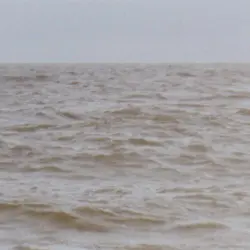 Wild Sea