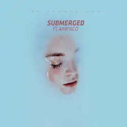 Submerged Flamenco Submerged Flamenco