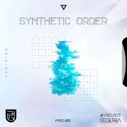 SYNTHETIC ORDER SYNTHETIC ORDER