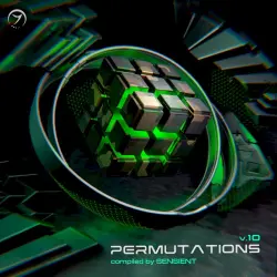Permutations, Vol. 10 Permutations, Vol. 10