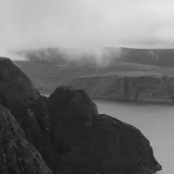 Fjords Fjords