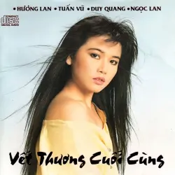Vết thương cuối cùng Vết thương cuối cùng