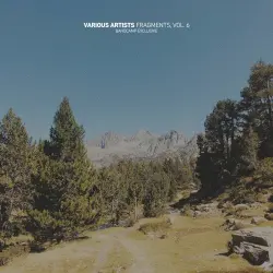 Fragments, Vol. 6