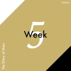 Week 5 Week 5