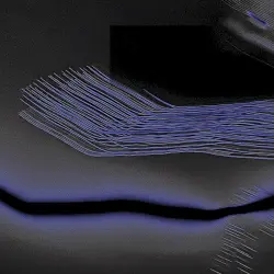 Matter