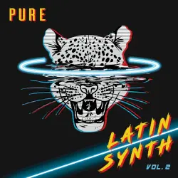 Pure Latin Synth, Vol. 2 Pure Latin Synth, Vol. 2