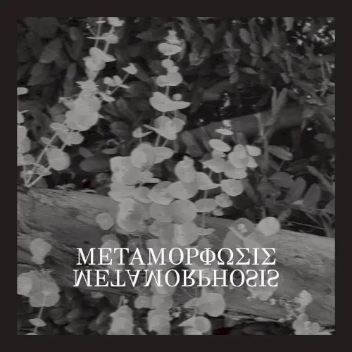 Metamorphosis