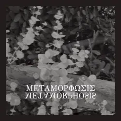 Metamorphosis