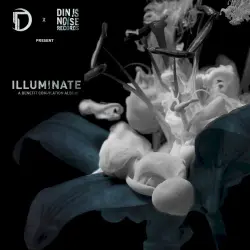 Illuminate: A Benefit Compilation Album