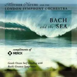 Bach and the sea Bach and the sea