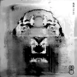 鬼面 : VA 01 鬼面 : VA 01