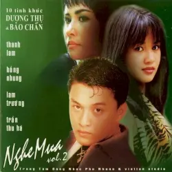 10 tình khúc Dương Thụ & Bảo Chấn - Nghe mưa Vol. 2