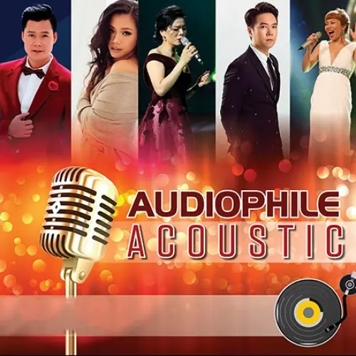 Audiophile Acoustic Viet