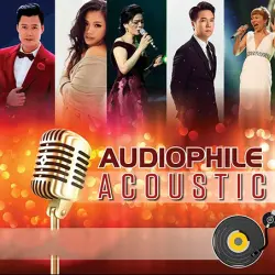 Audiophile Acoustic Viet