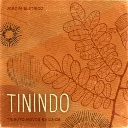 Tinindo Tinindo