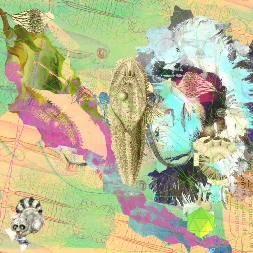 Pakapi Compilation Vol.1